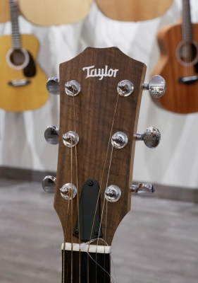 Taylor Guitars - Big Baby Taylor Walnut 2